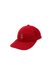 Vintage Denis Rodman 90’s Hat
